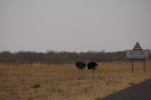 Let's hide behind this sign!