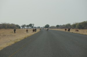 Imagine this at night..