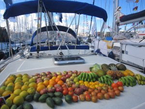 The first batch of fruit!