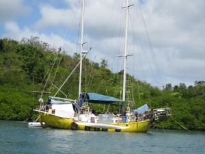 Alternative Lifestyle!