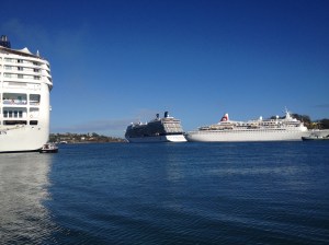 Sheep Transport in Castries..