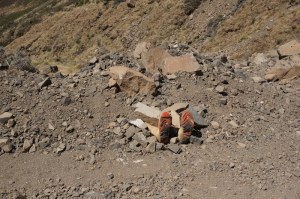 R.I.P.  A sad end...