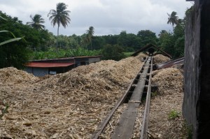 Sugar Cane Waste
