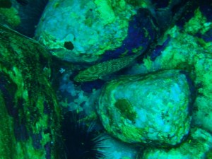 ??????????????????????