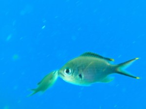 ??????????????????????