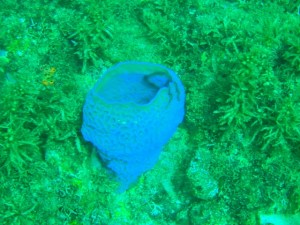 ??????????????????????