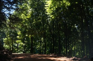 Crawling and cringing!