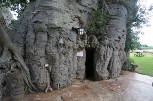 Reminiscent of The Hobbit!