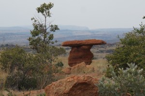 DSC07772_1011 (640x425)