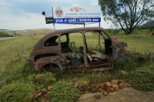 DSC07797_1035 (640x425)