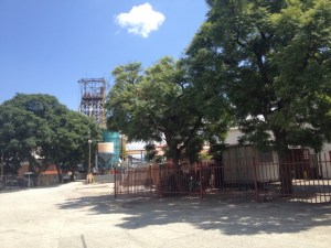 Amazing how many trees there are throughout the plant.